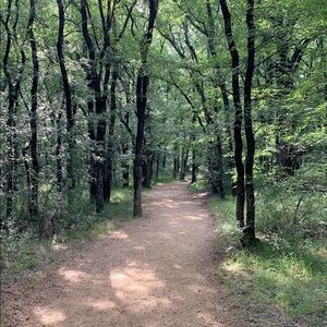 Meet your Posher, Cookie